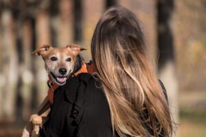 moving with pets